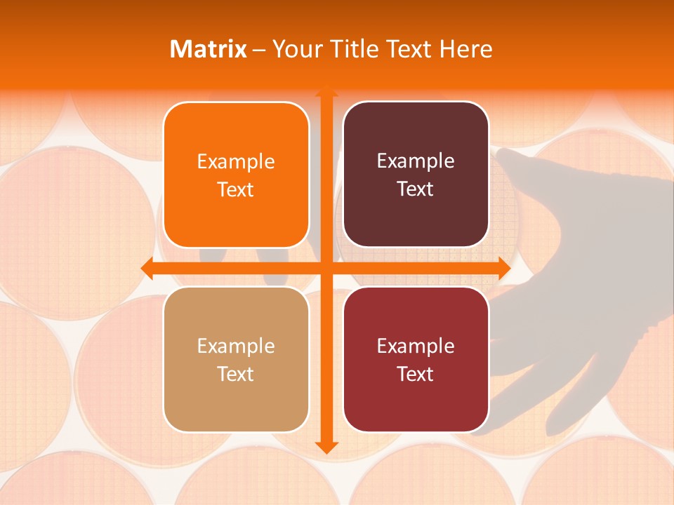A Person's Hand Reaching For A Piece Of Orange Circles PowerPoint Template