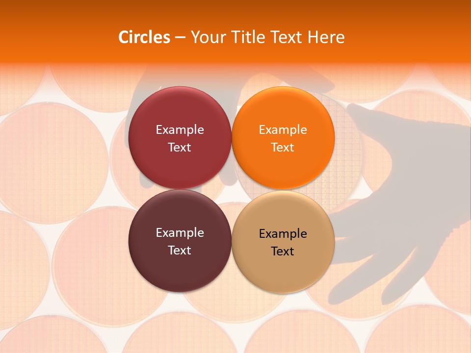 A Person's Hand Reaching For A Piece Of Orange Circles PowerPoint Template