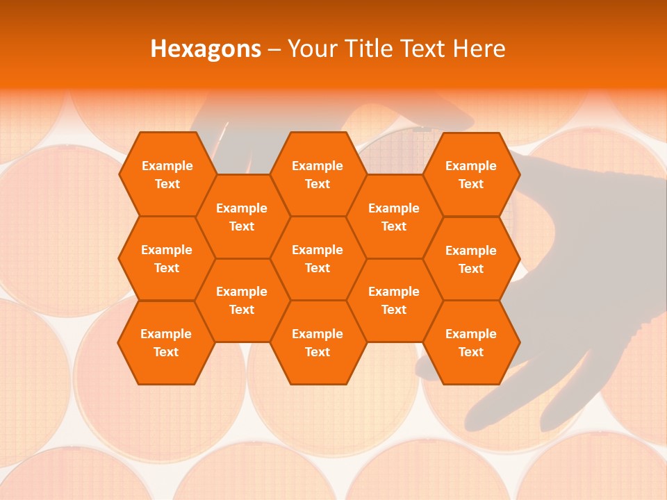 A Person's Hand Reaching For A Piece Of Orange Circles PowerPoint Template