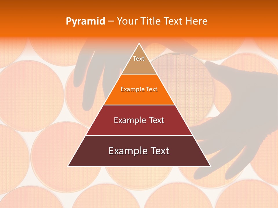 A Person's Hand Reaching For A Piece Of Orange Circles PowerPoint Template