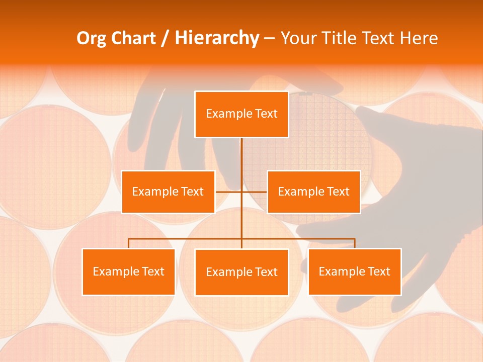 A Person's Hand Reaching For A Piece Of Orange Circles PowerPoint Template
