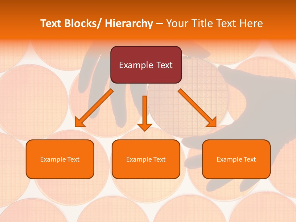 A Person's Hand Reaching For A Piece Of Orange Circles PowerPoint Template