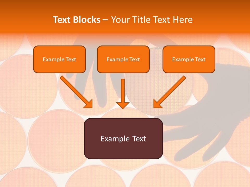 A Person's Hand Reaching For A Piece Of Orange Circles PowerPoint Template