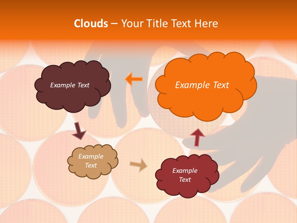 A Person's Hand Reaching For A Piece Of Orange Circles PowerPoint Template