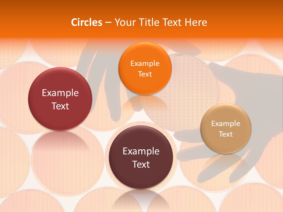 A Person's Hand Reaching For A Piece Of Orange Circles PowerPoint Template