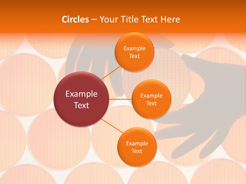 A Person's Hand Reaching For A Piece Of Orange Circles PowerPoint Template
