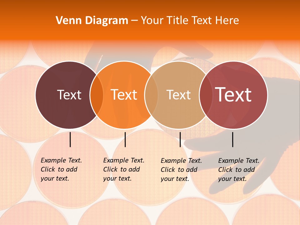 A Person's Hand Reaching For A Piece Of Orange Circles PowerPoint Template