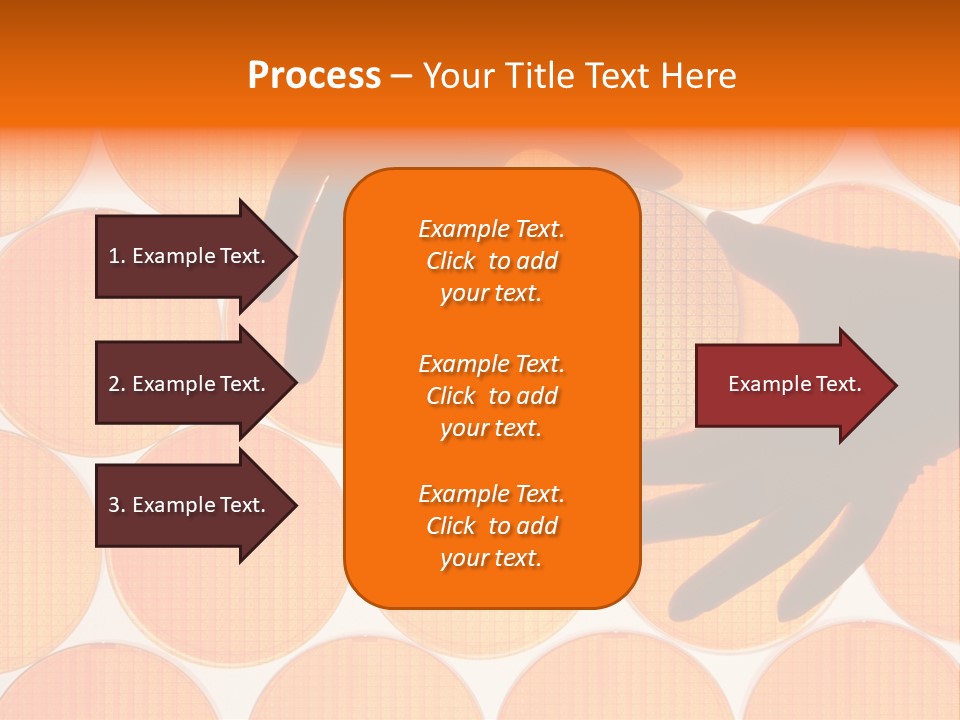 A Person's Hand Reaching For A Piece Of Orange Circles PowerPoint Template