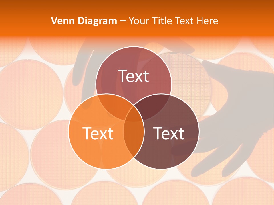 A Person's Hand Reaching For A Piece Of Orange Circles PowerPoint Template