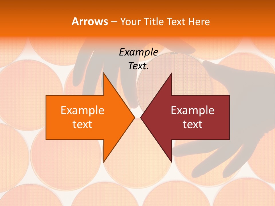 A Person's Hand Reaching For A Piece Of Orange Circles PowerPoint Template