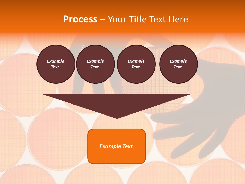 A Person's Hand Reaching For A Piece Of Orange Circles PowerPoint Template