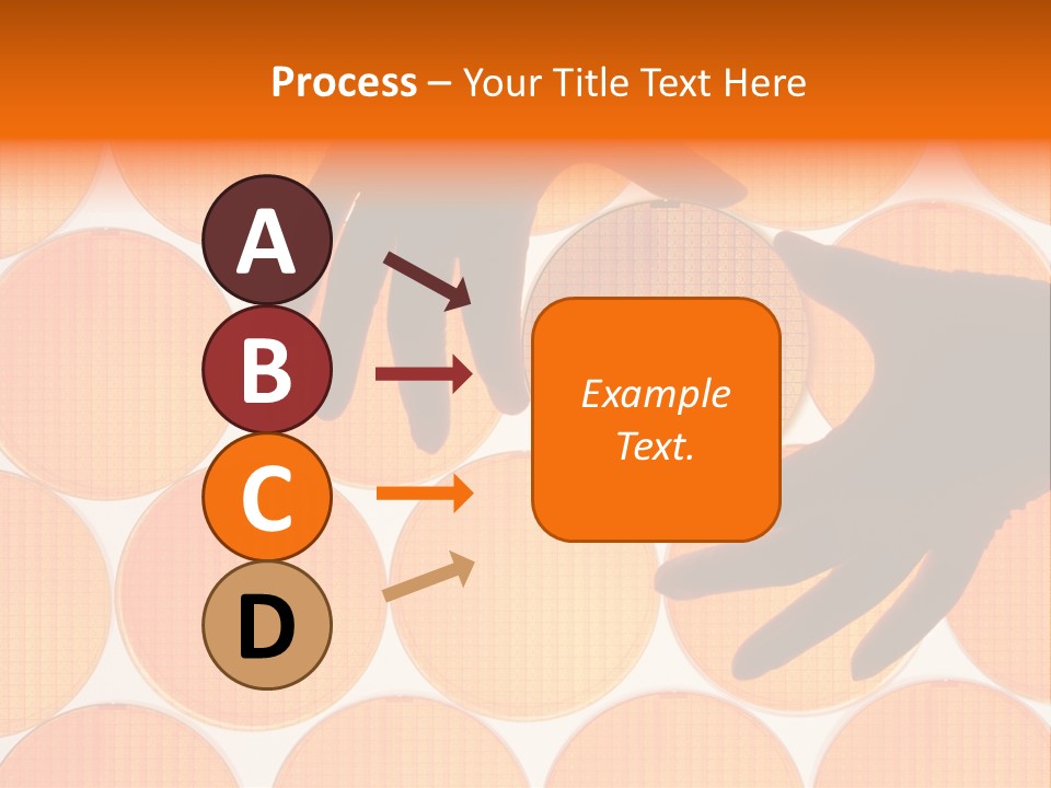 A Person's Hand Reaching For A Piece Of Orange Circles PowerPoint Template
