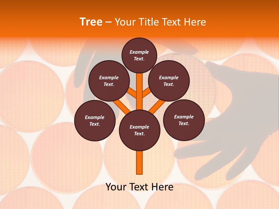 A Person's Hand Reaching For A Piece Of Orange Circles PowerPoint Template