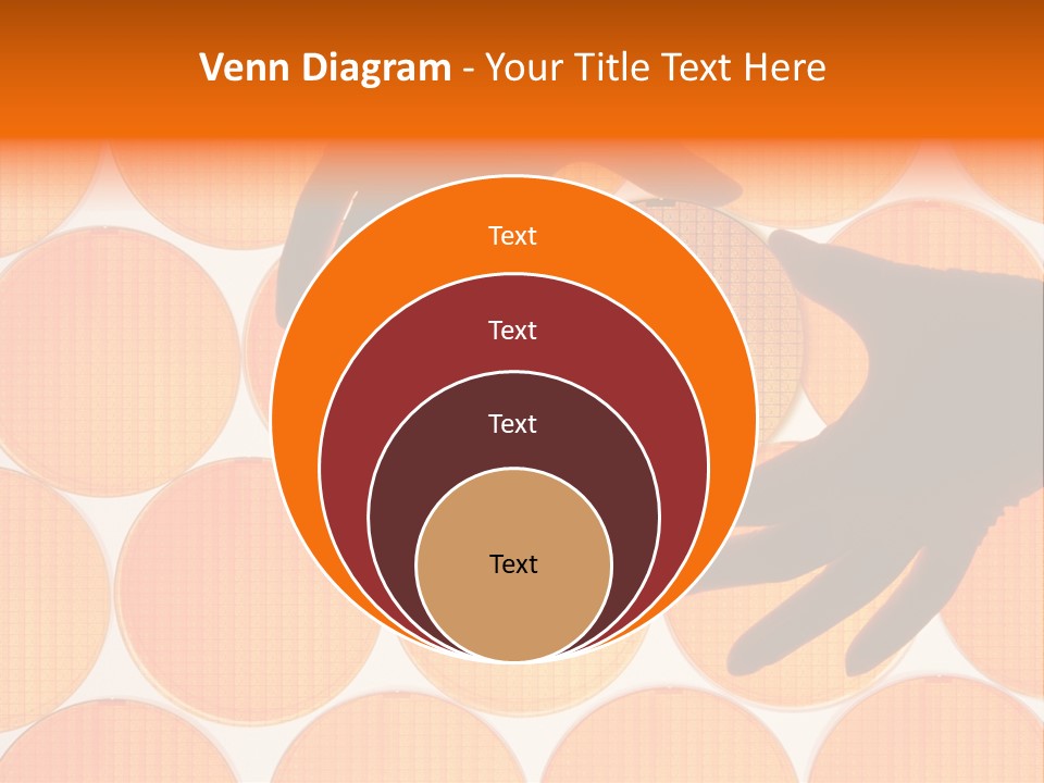 A Person's Hand Reaching For A Piece Of Orange Circles PowerPoint Template