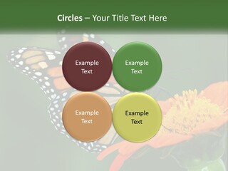 Beautiful Gorgeous Nature PowerPoint Template