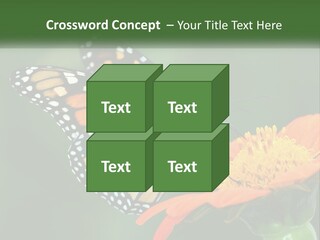 Beautiful Gorgeous Nature PowerPoint Template