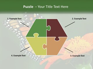 Beautiful Gorgeous Nature PowerPoint Template