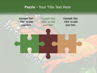 Beautiful Gorgeous Nature PowerPoint Template