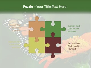 Beautiful Gorgeous Nature PowerPoint Template