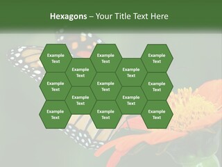 Beautiful Gorgeous Nature PowerPoint Template