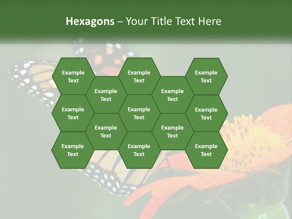 Beautiful Gorgeous Nature PowerPoint Template