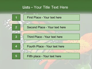 Beautiful Gorgeous Nature PowerPoint Template