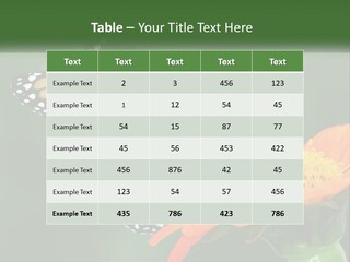 Beautiful Gorgeous Nature PowerPoint Template