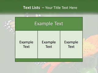 Beautiful Gorgeous Nature PowerPoint Template