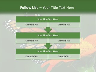 Beautiful Gorgeous Nature PowerPoint Template