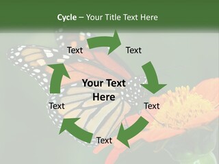 Beautiful Gorgeous Nature PowerPoint Template