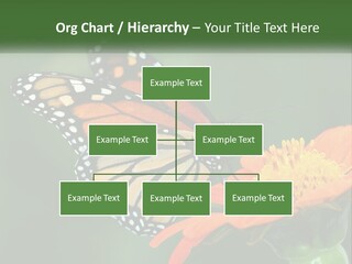 Beautiful Gorgeous Nature PowerPoint Template