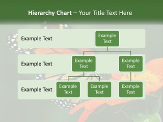Beautiful Gorgeous Nature PowerPoint Template