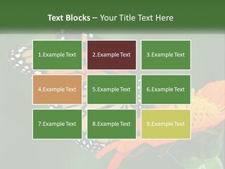 Beautiful Gorgeous Nature PowerPoint Template