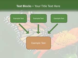 Beautiful Gorgeous Nature PowerPoint Template