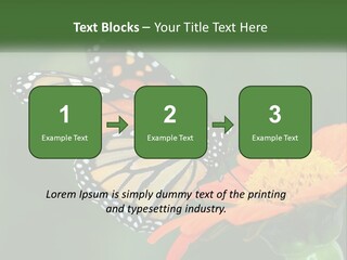 Beautiful Gorgeous Nature PowerPoint Template