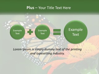 Beautiful Gorgeous Nature PowerPoint Template