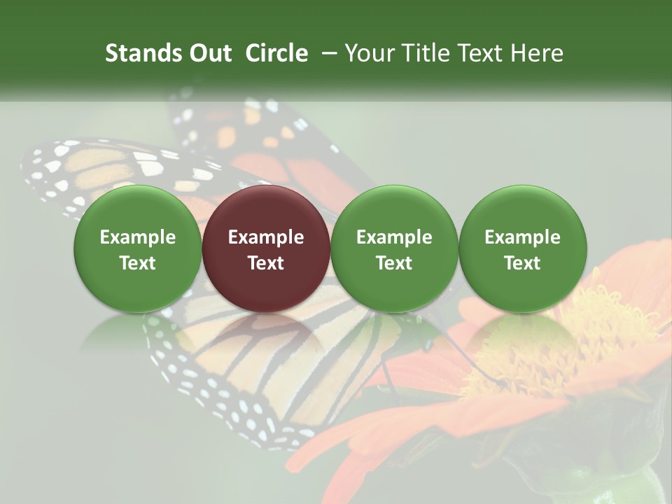 Beautiful Gorgeous Nature PowerPoint Template