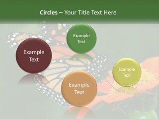 Beautiful Gorgeous Nature PowerPoint Template