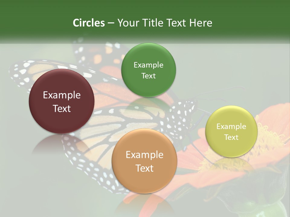 Beautiful Gorgeous Nature PowerPoint Template