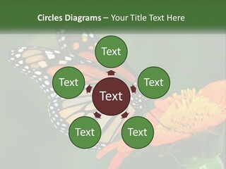 Beautiful Gorgeous Nature PowerPoint Template