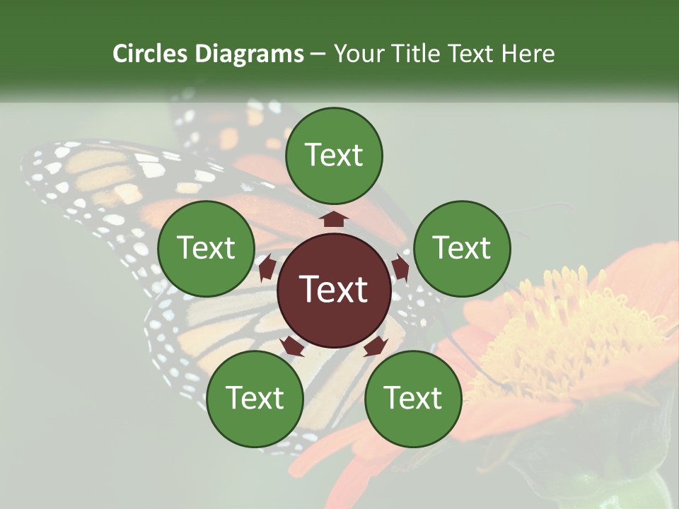 Beautiful Gorgeous Nature PowerPoint Template