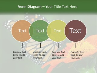 Beautiful Gorgeous Nature PowerPoint Template