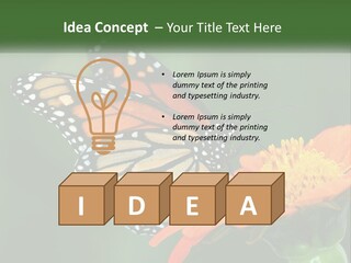 Beautiful Gorgeous Nature PowerPoint Template