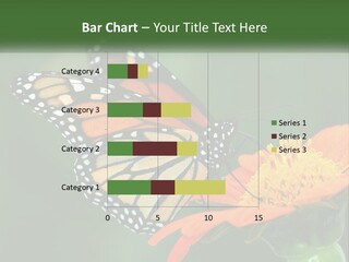 Beautiful Gorgeous Nature PowerPoint Template