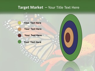 Beautiful Gorgeous Nature PowerPoint Template