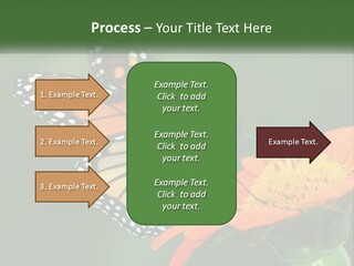 Beautiful Gorgeous Nature PowerPoint Template