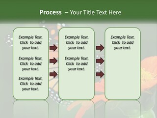 Beautiful Gorgeous Nature PowerPoint Template