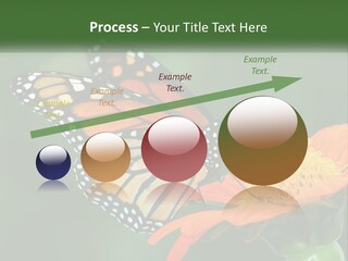 Beautiful Gorgeous Nature PowerPoint Template
