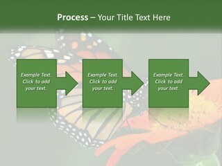 Beautiful Gorgeous Nature PowerPoint Template