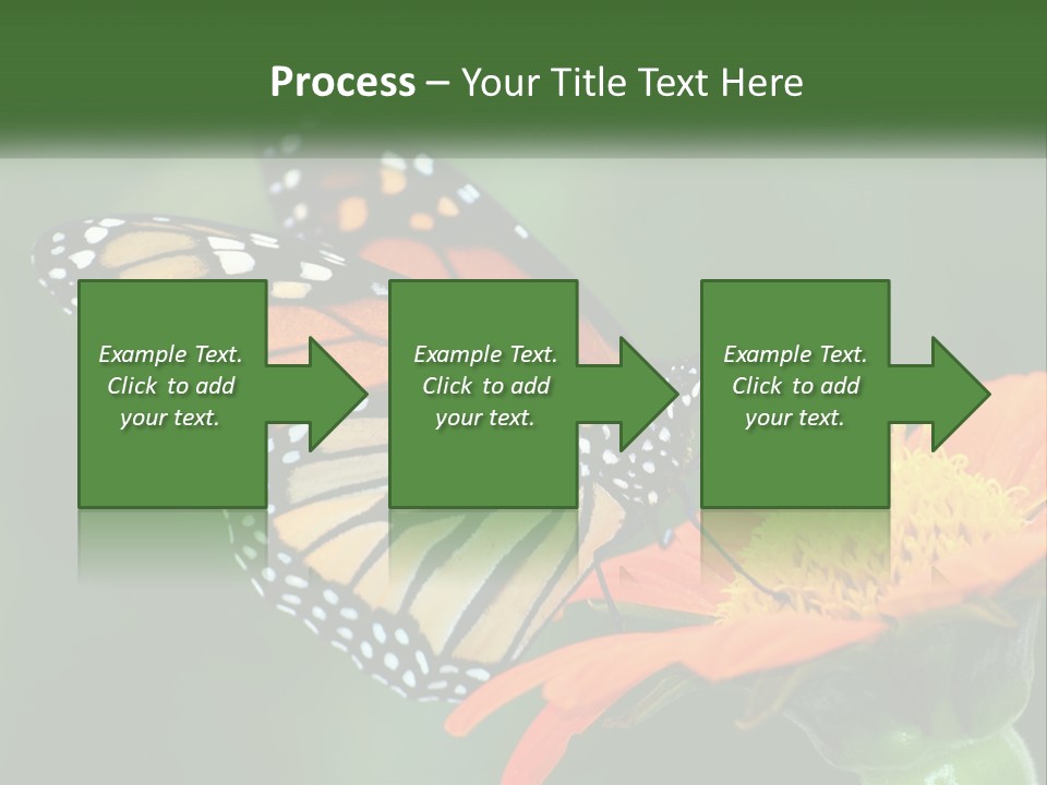 Beautiful Gorgeous Nature PowerPoint Template